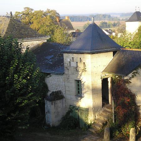 Manoir De Boisairault Bed & Breakfast Le Coudray-Macouard Exterior photo