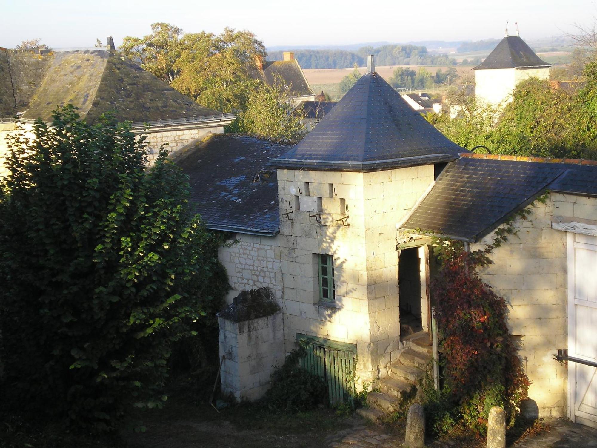 Manoir De Boisairault Bed & Breakfast Le Coudray-Macouard Exterior photo